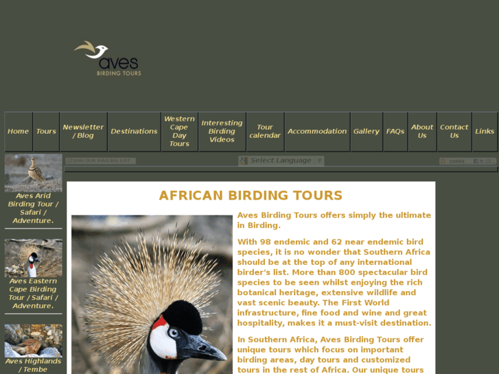 www.avesbirdingtours.com