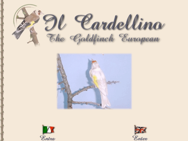 www.cardellino.it