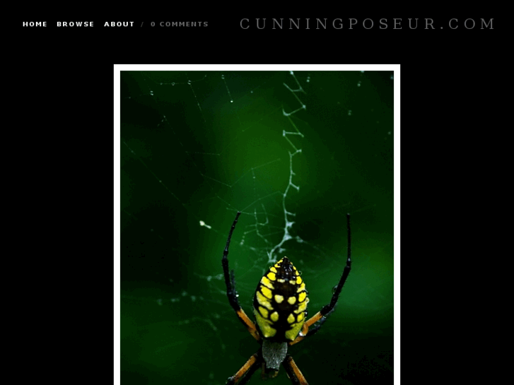 www.cunningposeur.com