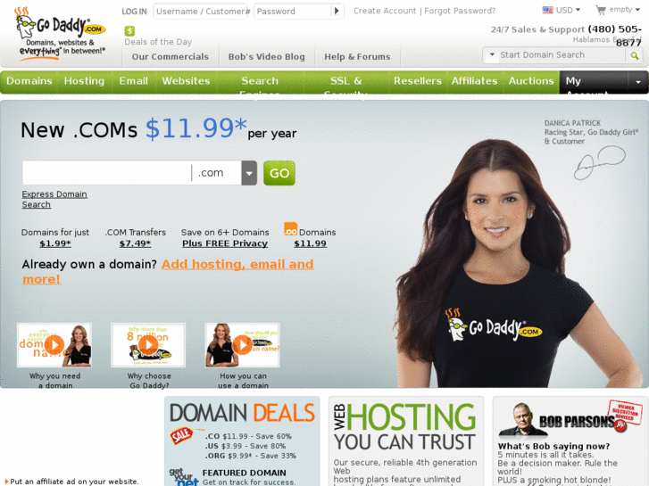 www.go-daddycom.info