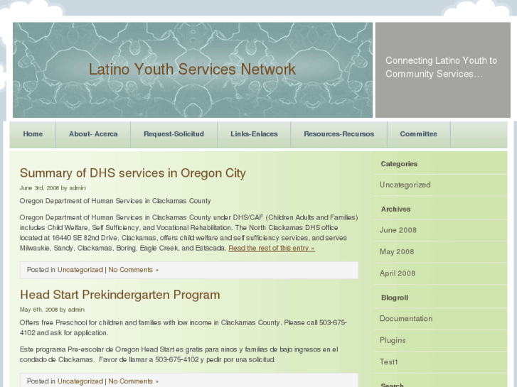 www.latinoyouthservicesnetwork.org