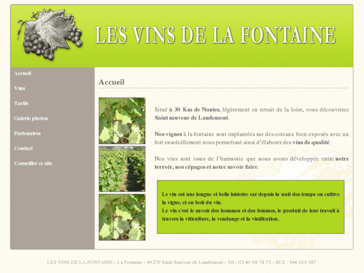 www.les-vins-de-la-fontaine49.com