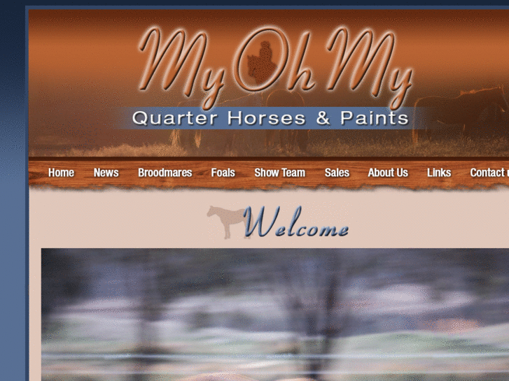 www.myohmyquarterhorses.com