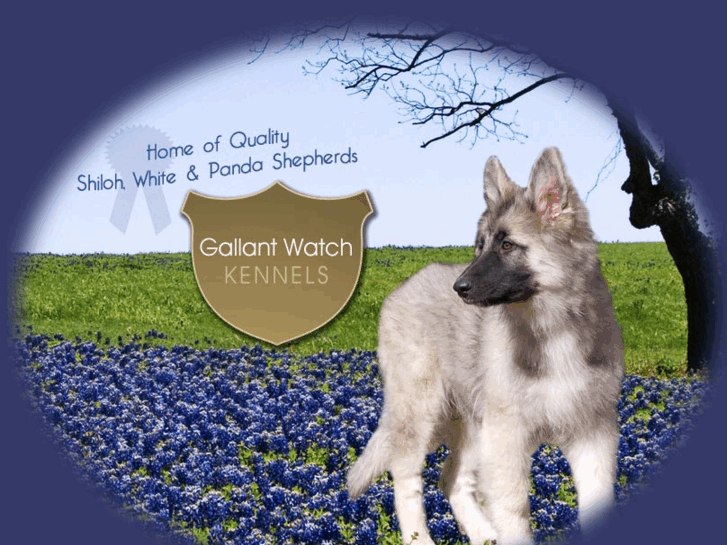 www.gallantwatchkennels.com