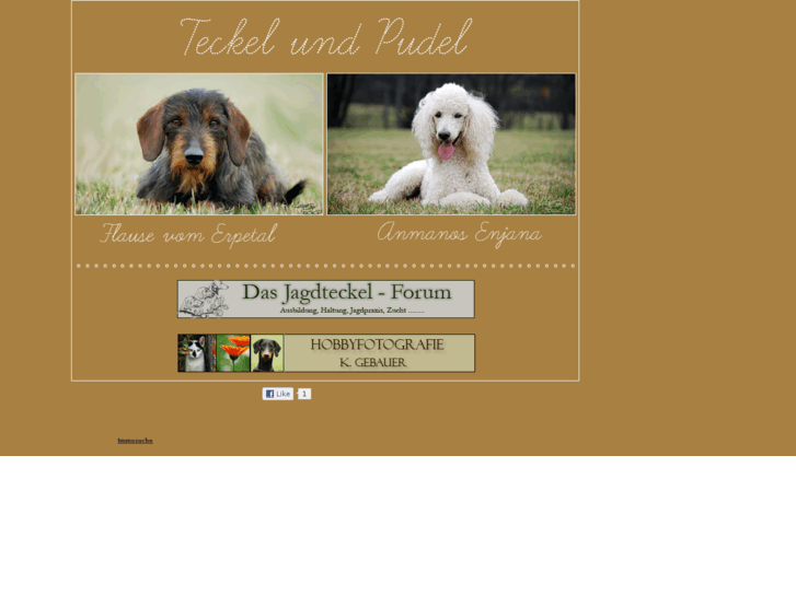 www.jagdteckel.com