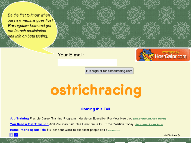 www.ostrichracing.com