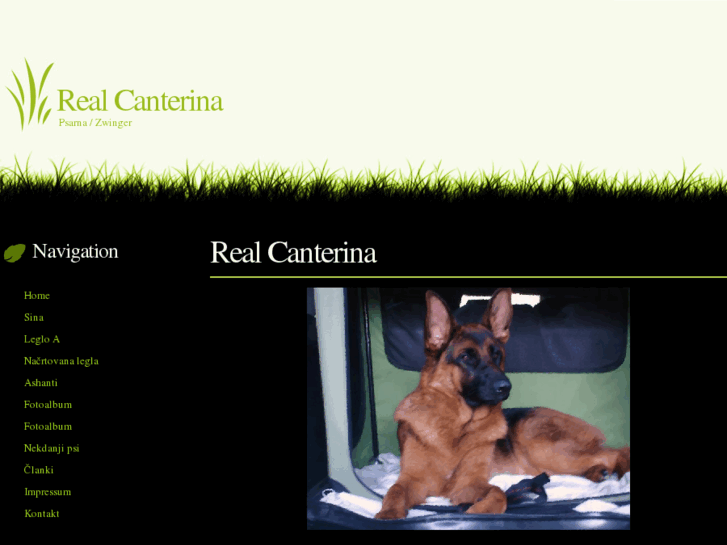 www.real-canterina.net