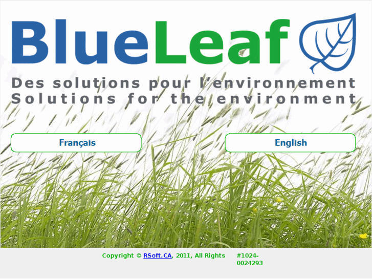 www.blue-leaf.ca