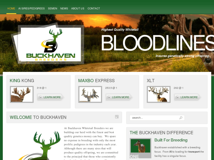 www.buckhavenbreeders.com