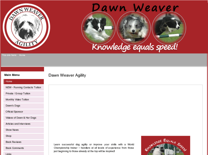 www.dawnweaveragility.com