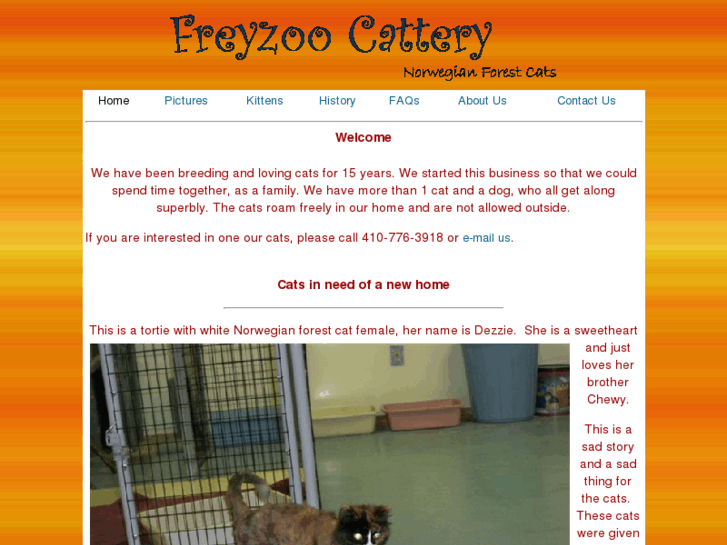 www.freyzoo.com