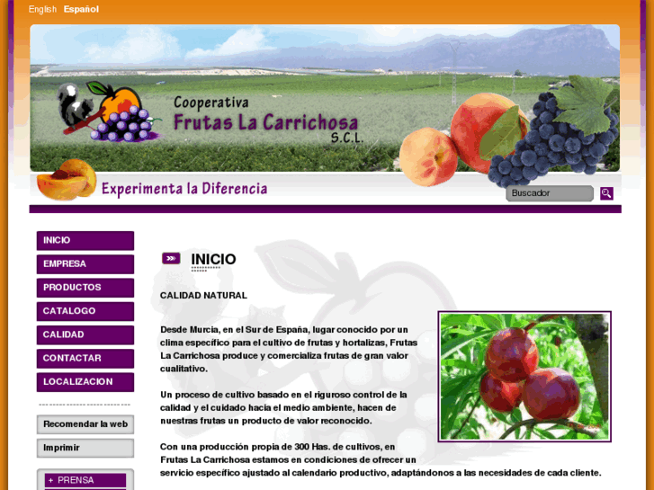 www.frutaslacarrichosa.com