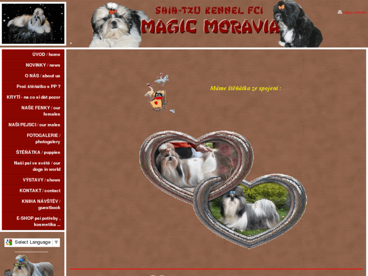 www.magicmoravia.com