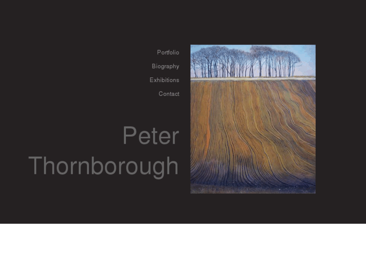 www.peterthornborough.com