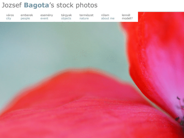 www.bagotaphoto.com