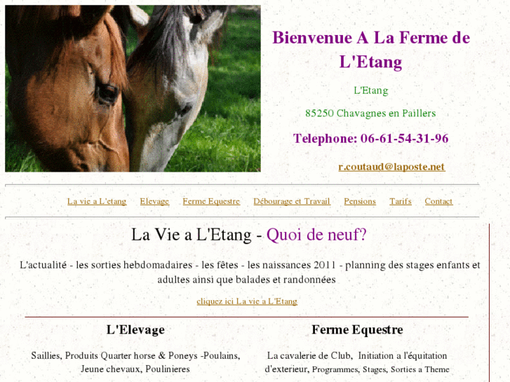 www.chevauxdeletang.com