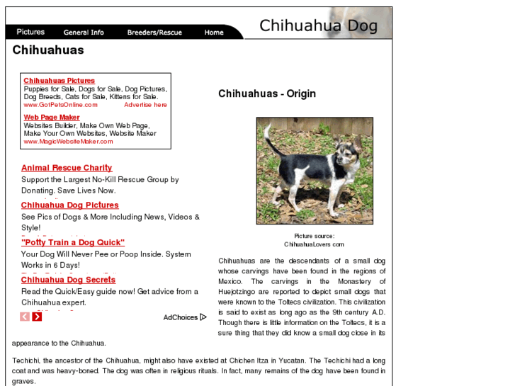 www.chihuahua-dogs.com