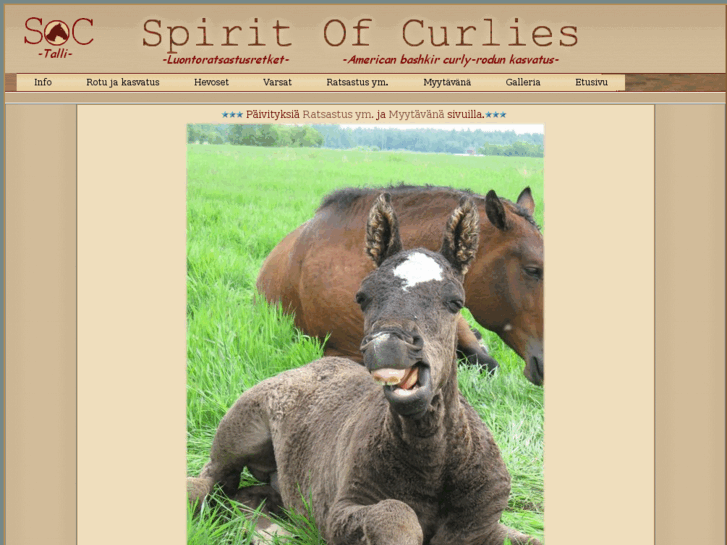 www.spiritofcurlies.com