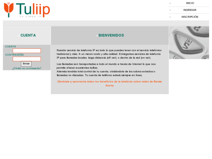www.tuliip.net