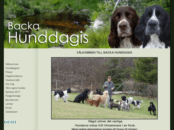 www.backahunddagis.se