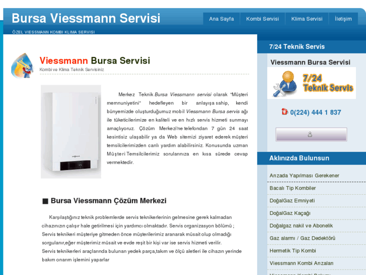 www.bursaviessmannservisi.com