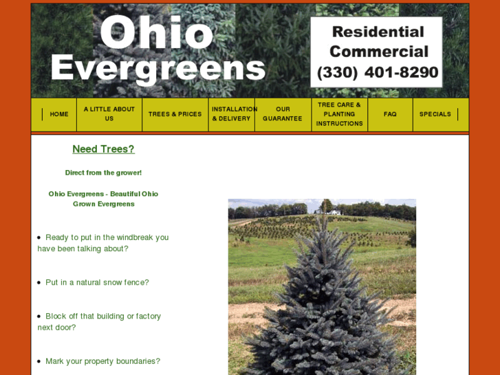 www.evergreensdirect.com
