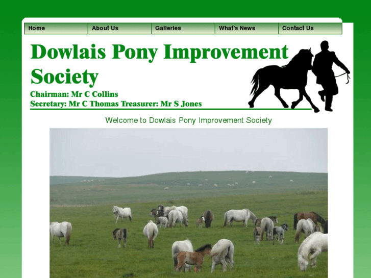 www.hillponies.co.uk