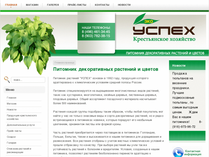 www.kx-ycnex.ru