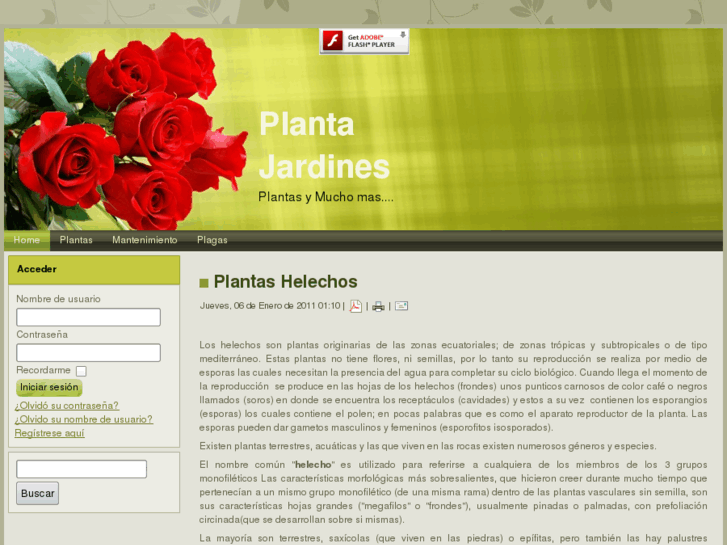 www.plantajardines.com