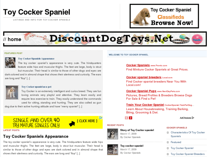 www.toycockerspaniel.net