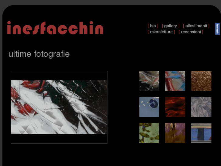 www.inesfacchin.info