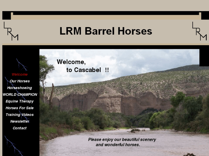 www.lrmbarrelhorses.com