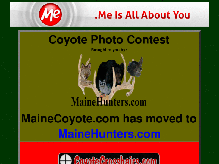 www.mainecoyote.com