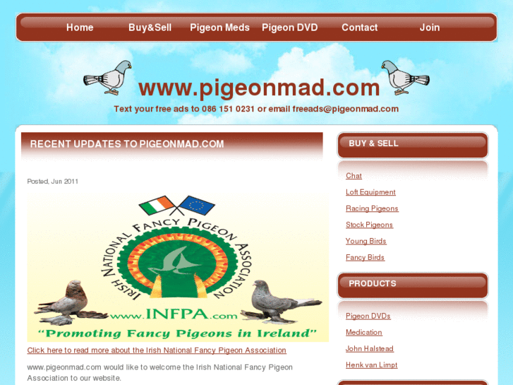 www.pigeonmad.com