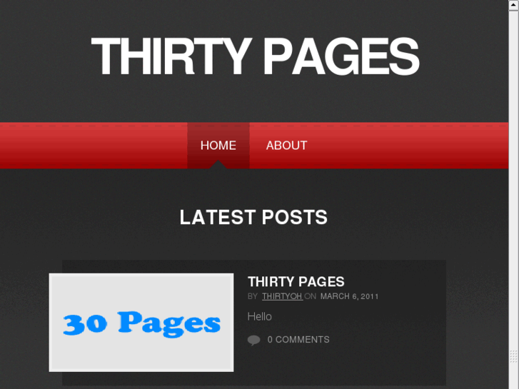 www.thirtypages.com