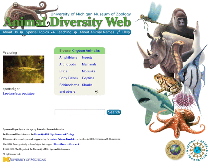 www.animaldiversityweb.org