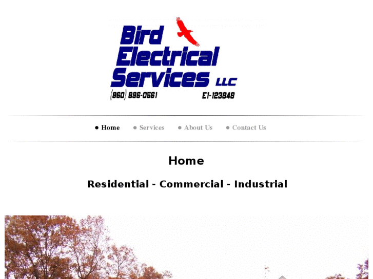 www.birdelectricalservices.com