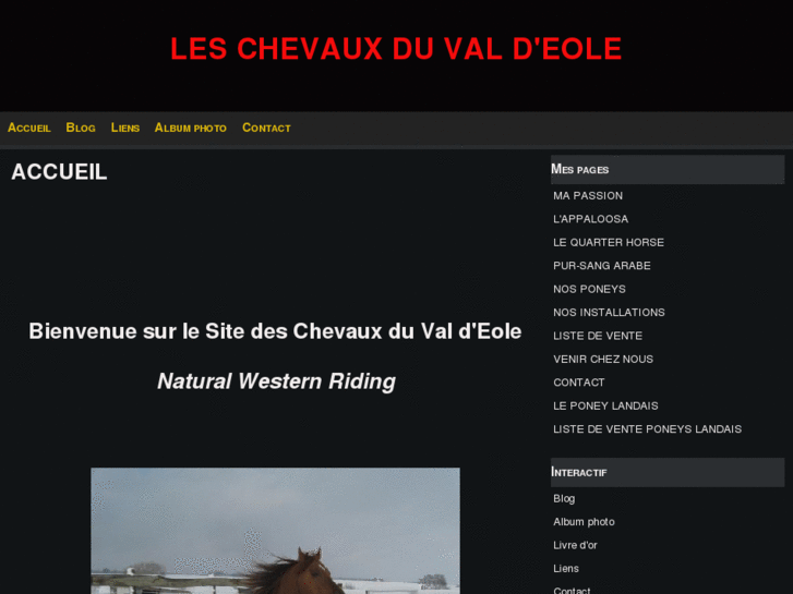 www.chevauxduvaldeole.com