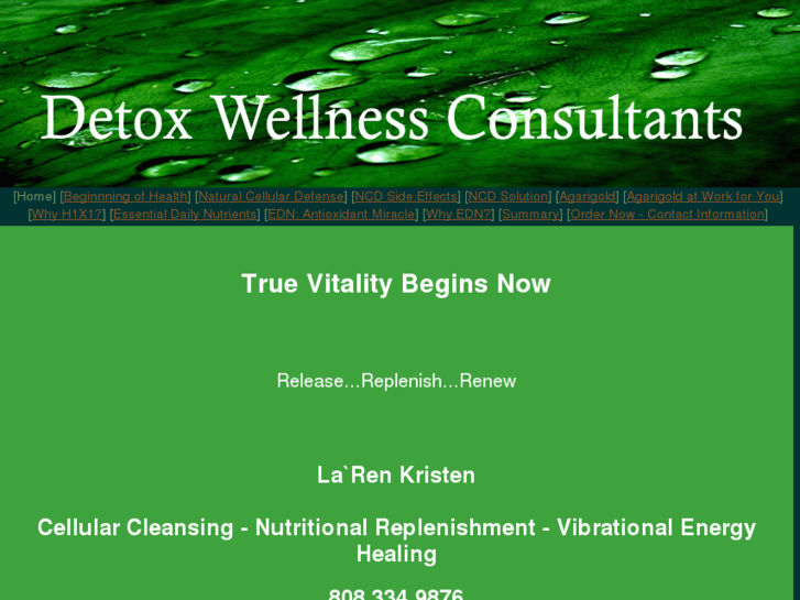 www.detoxwellnessconsultants.com