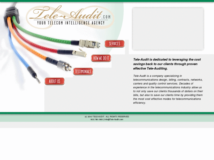 www.inteleaudit.net