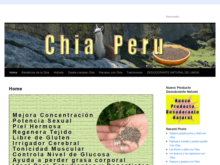 www.chiaperu.com