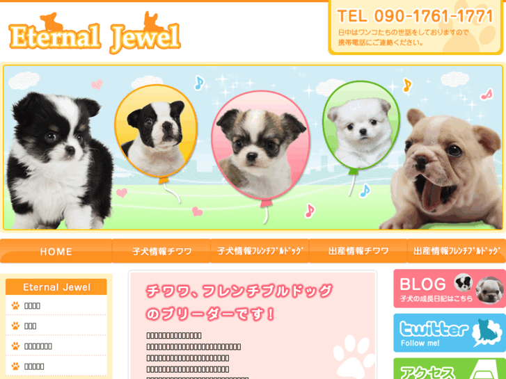 www.e-jewel.jp