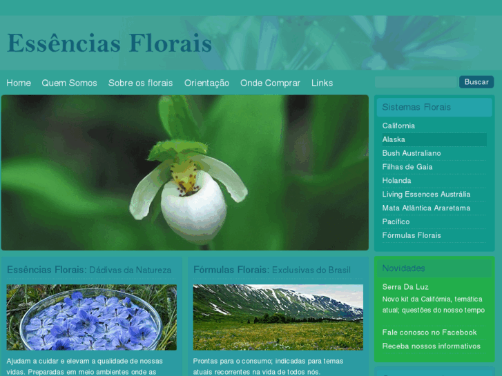 www.essenciasflorais.com.br