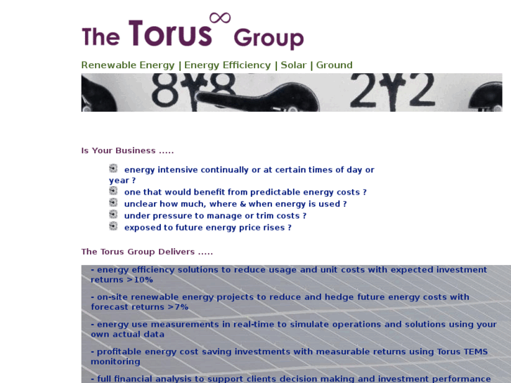 www.thetorusgroup.com