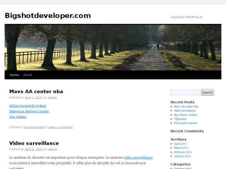 www.bigshotdeveloper.com