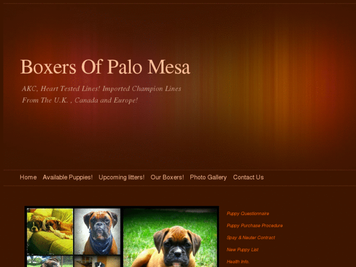 www.boxersofpalomesa.com