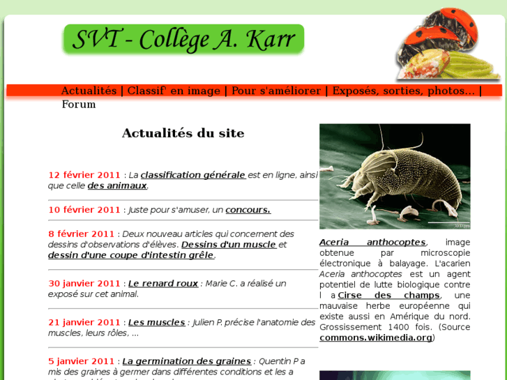 www.cours-svt.com