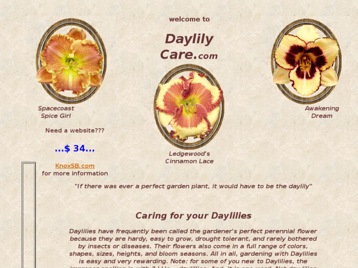 www.daylilycare.com