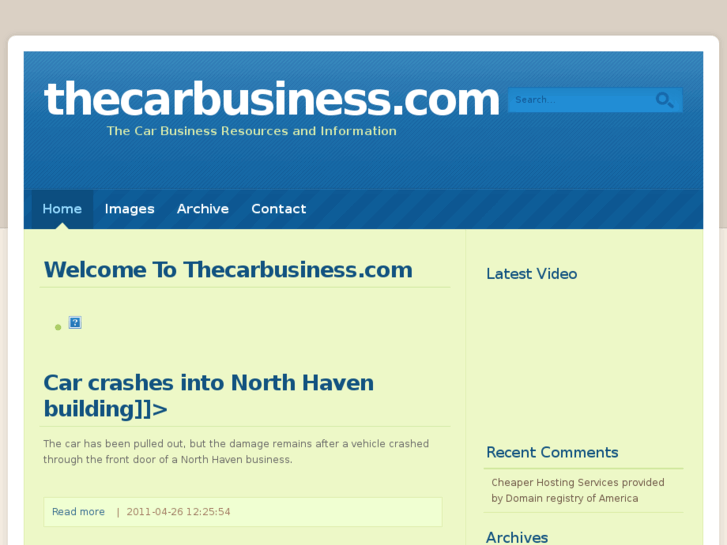 www.thecarbusiness.com