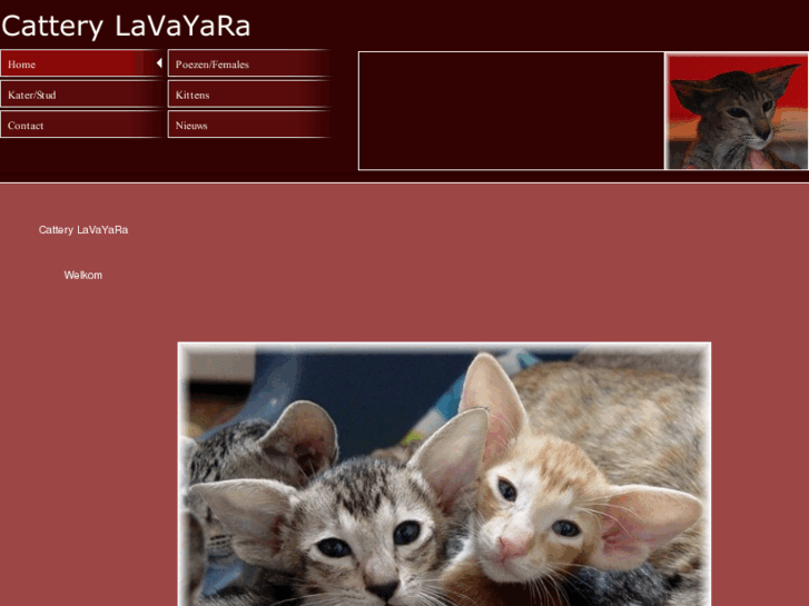 www.lavayara.com